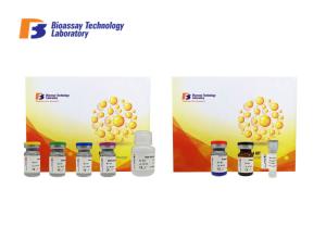 China Sandwich Type Human ELISA Kit TNFRSF6 Immunoassay Test 2 Hours Assay Length factory