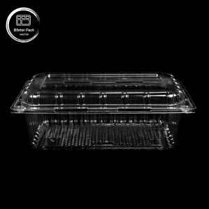 Transparent PET Clamshell Fruit Containers Disposable Plastic Boxes with Lids