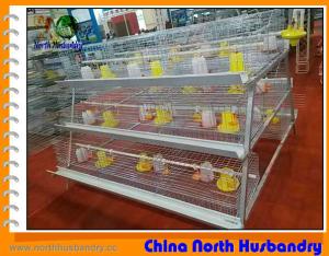 China Poultry Incubator|Egg Incubators|Chicken Cages Manufacturer factory