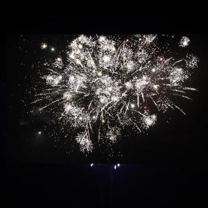 China Chinese Fireworks Liuyang 46 Shots Consumer Cake Fireworks factory