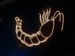 Landscape 120leds/m 200cm 8W Acrylic LED Neon Sign