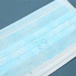 Disposable Blue Earloop Face Mask Anti Coronavirus For Personal Safety