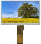 IPS Capacitive Glass Type VA LCD Display 5" 800*480 Full View