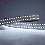 Cuttable Single Color LED Strip Light Tape Outdoor Double Row 24V Warm White