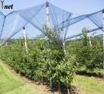 Anti Hail Nets for Apple Tree Agriculture Anti Hail Net Anti-hail Net With
