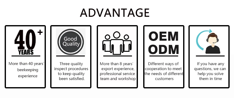 CE Automatic 3 Frame Honey Extractor Stainless Steel Honey Extractor with Kit for Beekeeping