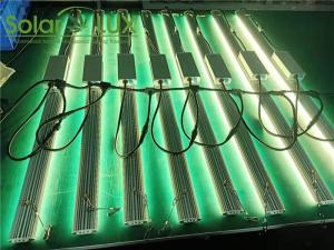 China 1000w LED Grow Lights Daisy Chain T Cable Power Cord factory