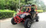 250cc 2X4 Gas Utility Vehicles Led Light Double A - Arm Suspension
