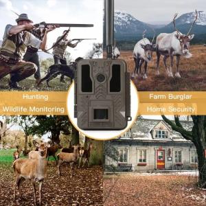 China 4G Hunting Outdoor Trail Camera IP67 Waterproof Night Vision factory