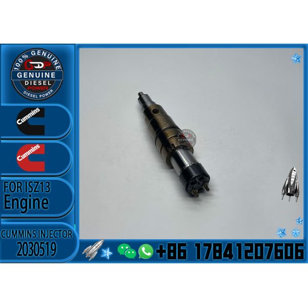 Original Common Rail Fuel Injector 0445120196 10117168 10490018 for Liebherr R974b Excavator