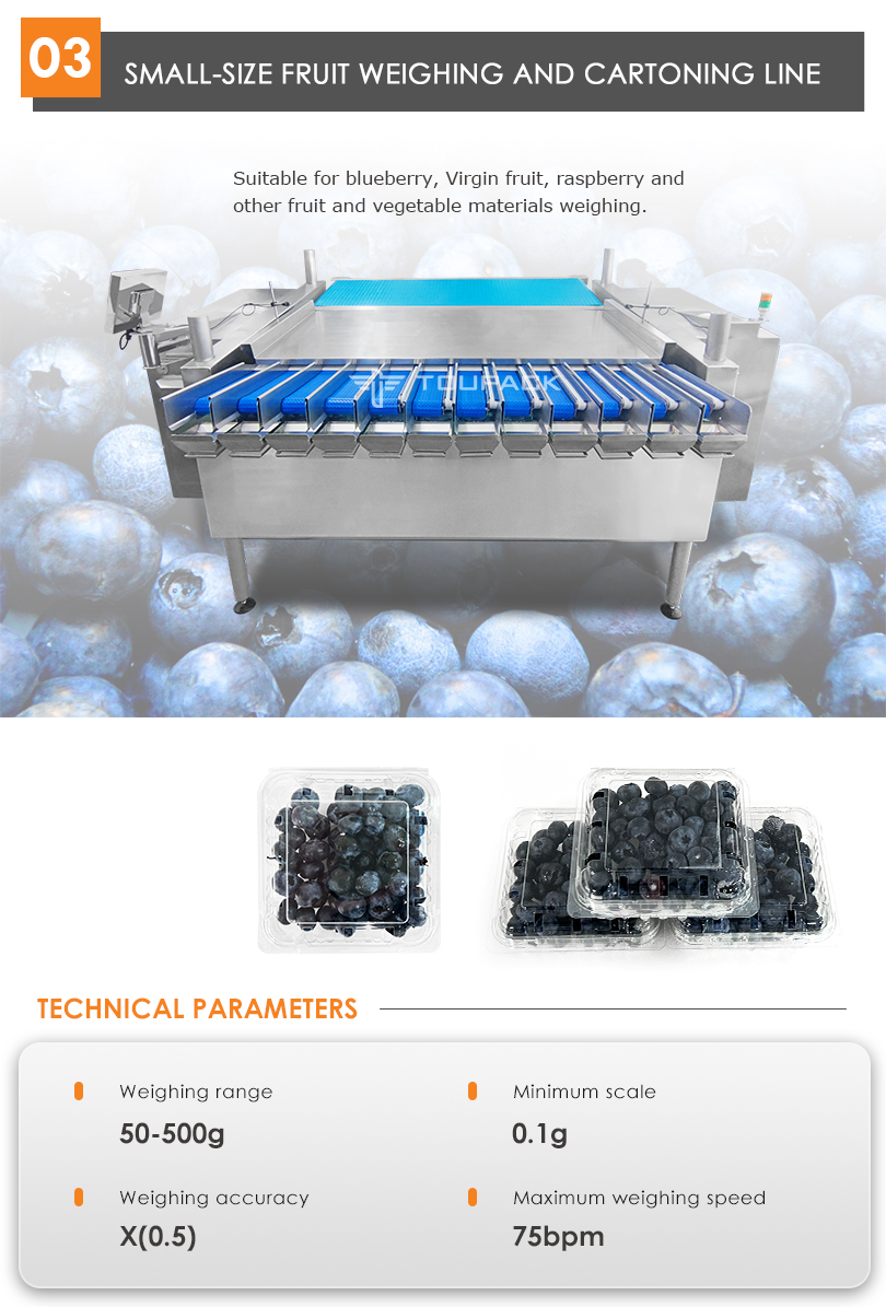 Automatic Fruit Packing Machine Apple Cherry Tomato Canning Packing Kumquat Tray Packaging Machine