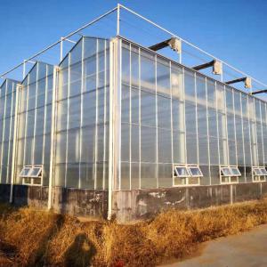 China Agricultural Super Strong Resistance Vegetable Fruits Flowers Polycarbonate Sheet Greenhouses factory