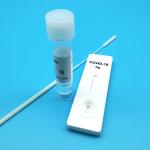 Rapid Saliva Test Kit Accuracy 99% Medical Examination