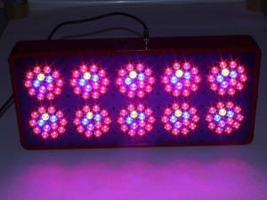 China Ebay Europe All Product Full Spectrum cheap led grow lights apollo 10 factory