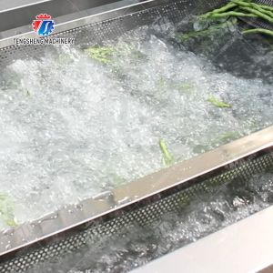 1000KG/H Fruit And Vegetable Processing Line Bubble Washing And Vibrating Drying