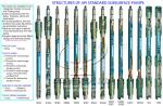 Stationary Heavy Wall Barrel API ISO QHSE Certification Approved OEM Sucker Rod