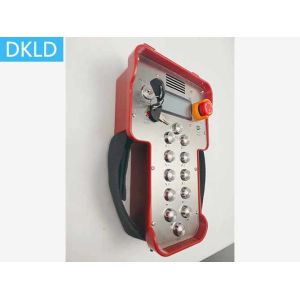 10 Channel Dual Speed Crane Wireless Remote Control With Voice Broadcasting