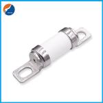 Bolted Connect 110VDC Industrial Power Fuses 25A-450A Ceramic Car Fuses