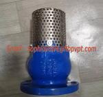 manufacture foot valve PN16 GGG50 cast iron material