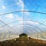 Affordable 6x15m PE Film Tunnel Greenhouse for Farming Applications