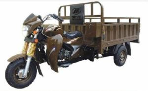China Shaft Drive Motorized 3 Wheel Cargo Motorcycle with Steel Frame and Car Axle factory