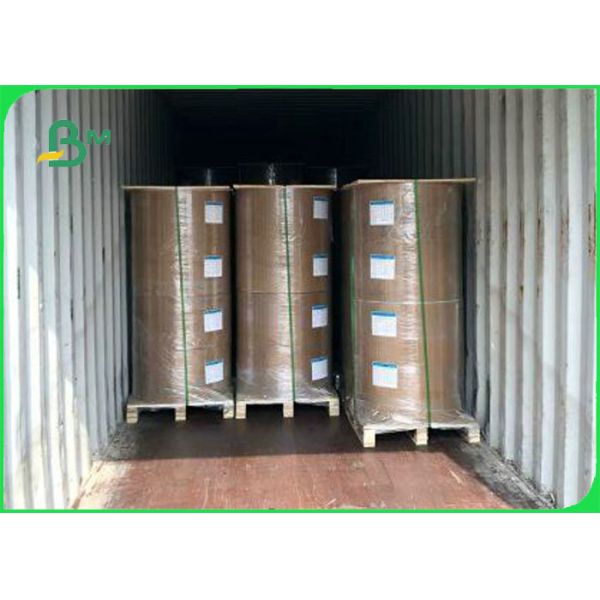 40gsm 50gsm 60gsm Greaseproof PE Coated Paper Roll For Food Packaging 