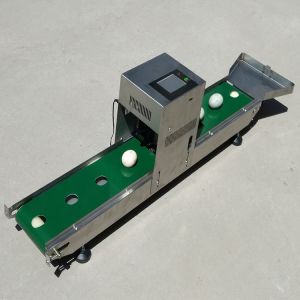 60W Egg Marking Equipment Thermal Foam Type With 1-4 Printing Lines