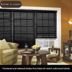 Contemporary Design Shutters for Office Living Room Study Electric Lift Black
