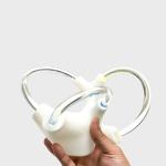 Tinnitus Vestibular Cochlea Inner Ear Cranial Nerve Rehabilitation Anatomical