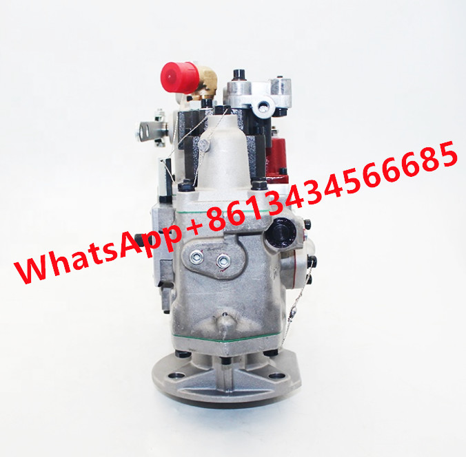 PT Fuel Pump For Cummins KTA19 Diesel Engine E665 4076954
