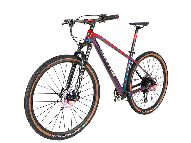 27.5 29er MAX RS Carbon Fiber Mountain Bike RETROSPEC 13 Speed
