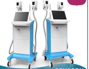 China Cryopolysis beauty equipment vacuum slimming fat freezing machine factory