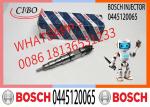 Common Rail Fuel Injector Diesel Injectors 04290988 0986435559 0445120065