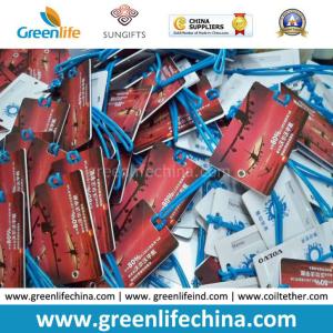 China Airline Promotional Gift Cheap PVC Hard Luggage Name Tag W/Loop factory