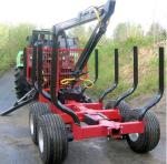 Twin Vertical Double Slabber Sawmill Machine SLS350, Automatic Twin Heads Band