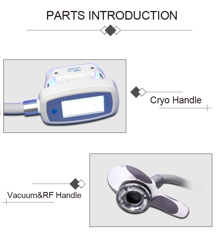 DM-55 Portable RF Cryolipolysis Slimming Machine 350mW pulse Fat Freezing