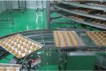 CE Bread Spiral Cooling Screw Conveyor