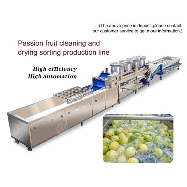 Silvery Personalization Passion Fruit And Vegetable Processing Line Fruit Cleansing Drying