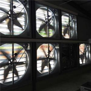 China Greenhouse Poultry Shed Cooling System , Environment Control Axial Flow Fan factory