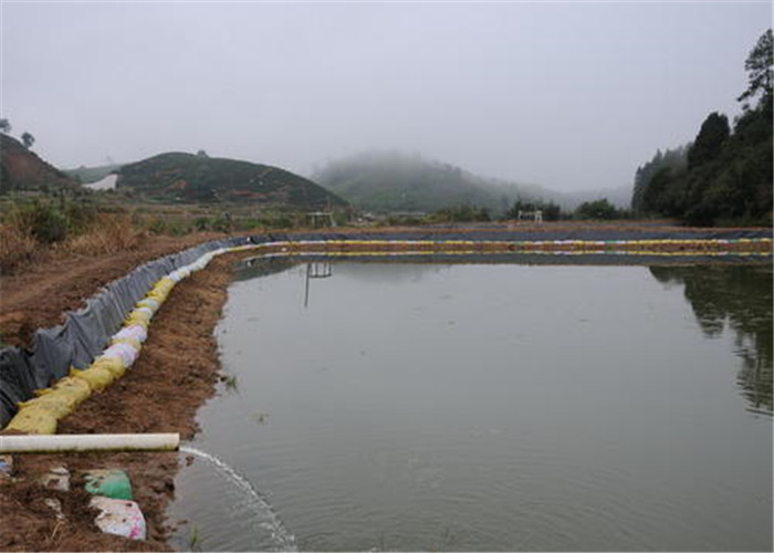 Pond 3mm Thickness Hdpe Dam Liners Geomembrane