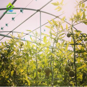 China Soilless Cultivation Vertical Hydroponic Growing System OEM ODM on sale