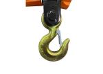 3000kg High Temperature Proof Wireless Crane Scale