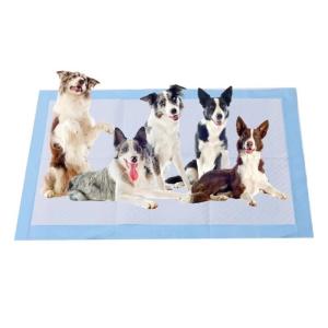 China 5 Layer Leak Proof Puppy Toilet Training Pad Super Absorbent Pee Mats For Cats Dogs factory