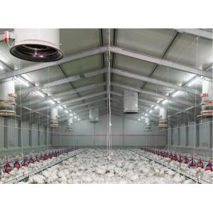 Automatic Steel Structure Poultry Farm Shed Design Modern Chicken House