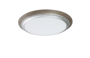 China LED CEILING LIGHTS FOR HOME LIGHTING factory