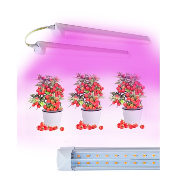 China T8 Tube 2ft 3ft 4ft Horticulture Led Grow Lights For Greenhouse Indoor Plants Veg Bloom Stages factory