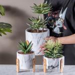 Cactus Planters Mini Pots Clay Flower Pots Cement Pot Planter Set Succulents