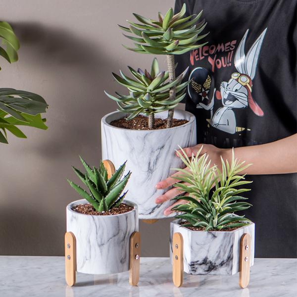 Cactus Planters Mini Pots Clay Flower Pots Cement Pot Planter Set Succulents