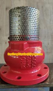 China PN10 or PN16 cast iron flanged foot valve Supplier factory
