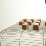 1.0mm-3.0mm Stainless Steel Wire Mesh Conveyor Belt For Furnace Oven